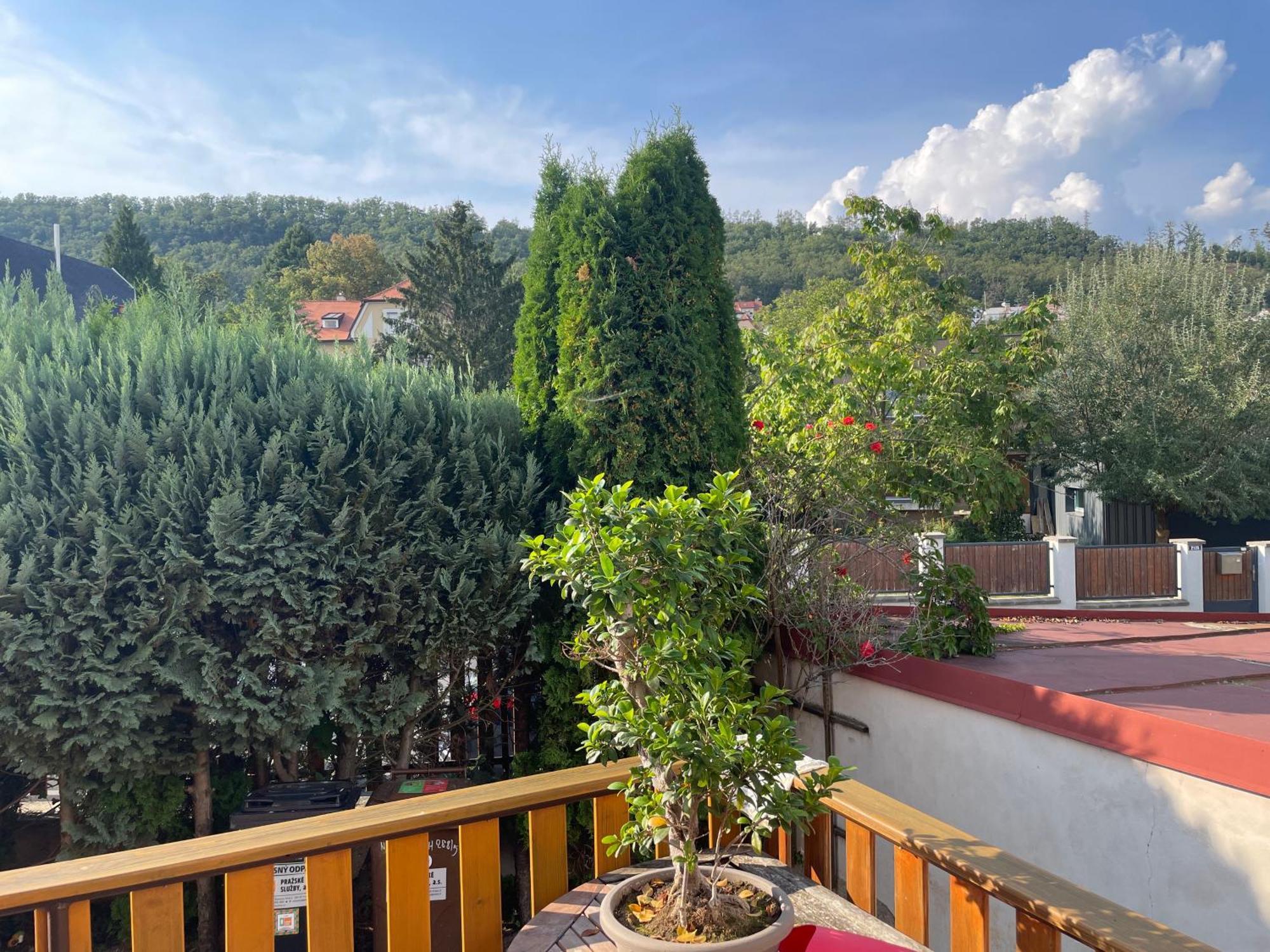 Apartment Peripheral Valley View Prague